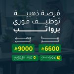 شركة تابي