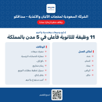 وظائف سدافكو: 11 فرصة شاغرة للثانوية فأعلى في 5 مدن